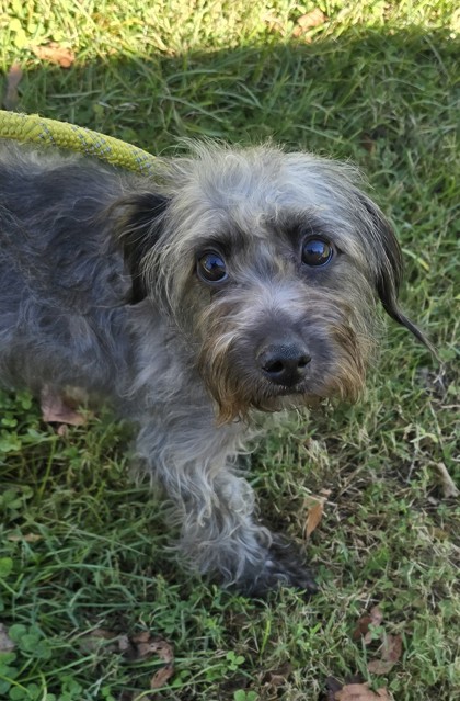 Marla — photo 3