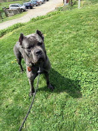 Fiona photo