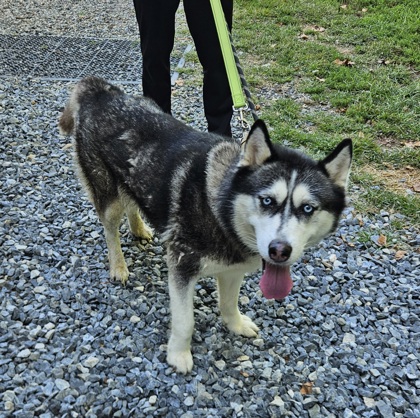 Sasha — photo 3