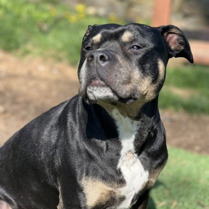 Roxy photo
