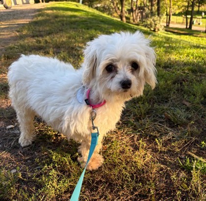 Mabel — photo 2