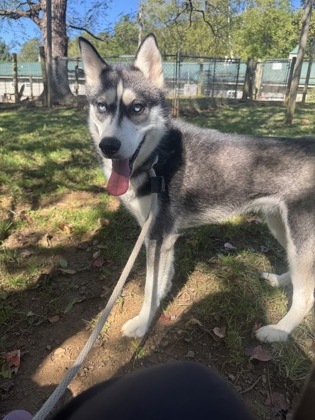Freya — photo 2