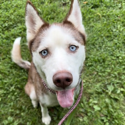 Maggie photo