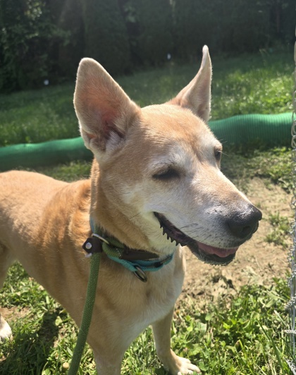 Buddy photo