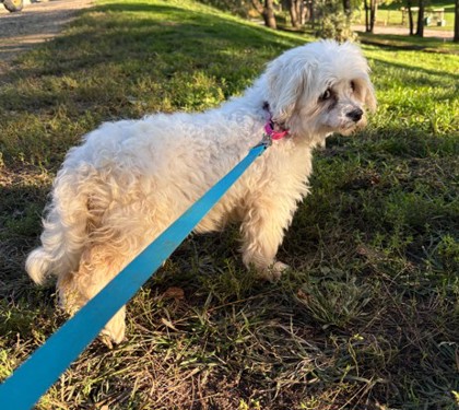 Mabel — photo 3
