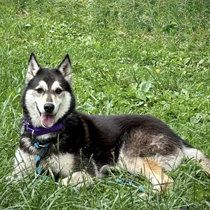 Bella photo