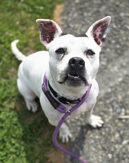 Lola photo