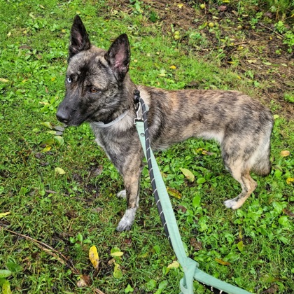 Zeus — foto 2