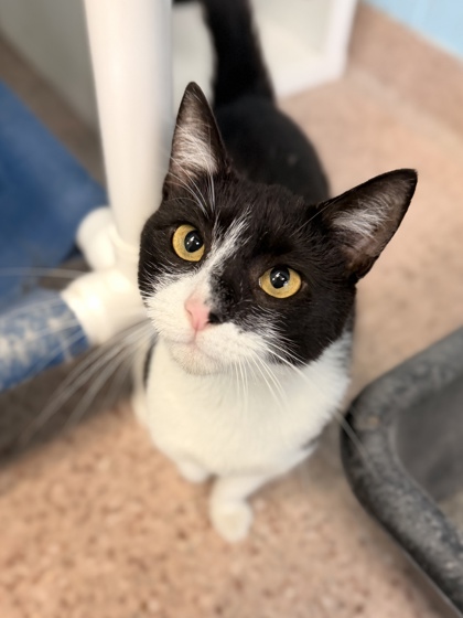 Ernie photo