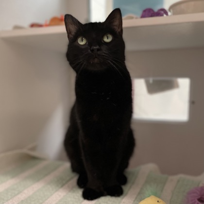 Bubby AKA Magic