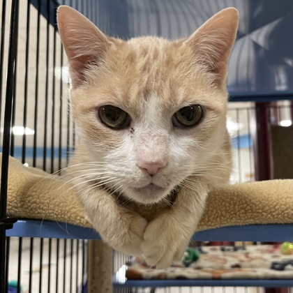 Rosie Marie w/ Tipper Lee