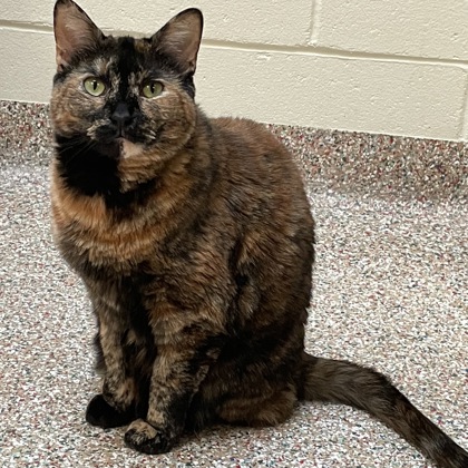 Molly aka Mon' Ami