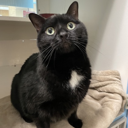 Winnie (aka Lily) w/ Poppy