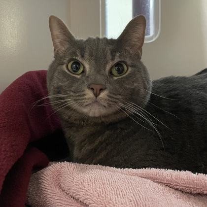 Poppy (aka Boomer) w/ Winnie