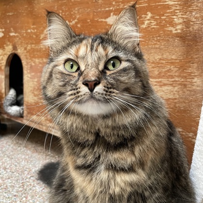 Anya (w/ Fiona)