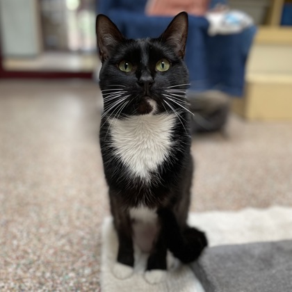 Clarabella AKA Bella w/ Angel