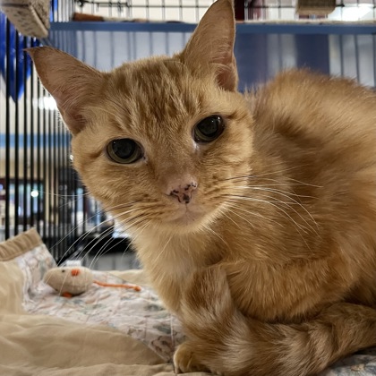 Tipper Lee w/ Rosie Marie