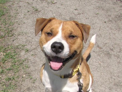 Roscoe