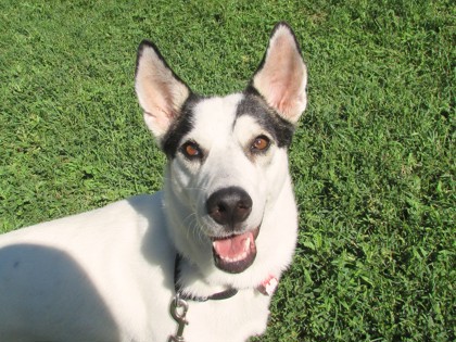 Starla